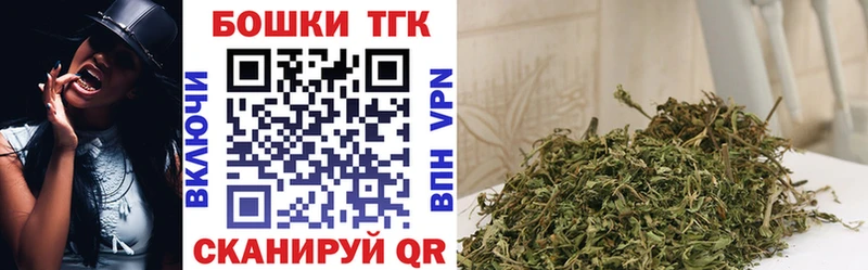 APVP Вязьма