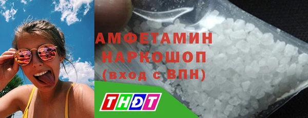 ГАЛЛЮЦИНОГЕННЫЕ ГРИБЫ Строитель